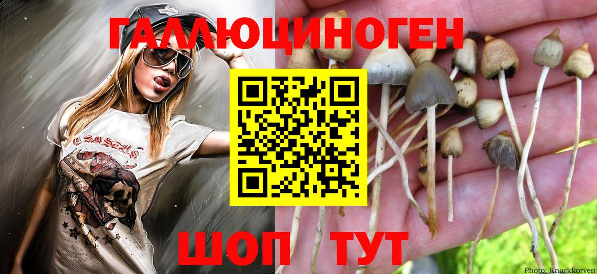 Псилоцибиновые грибы Magic Shrooms  Вход с VPN  Зеленокумск 