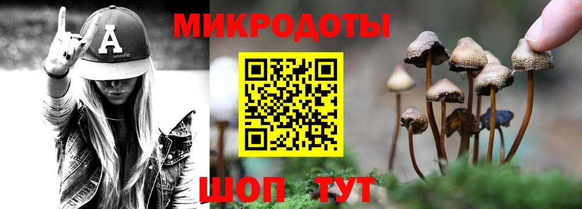 Псилоцибиновые грибы мицелий Зеленокумск